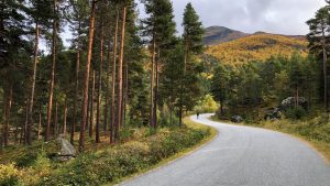 Firmatur til Lom