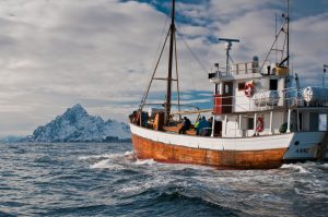 Firmatur til Lofoten