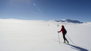 Firmatur til Geilo