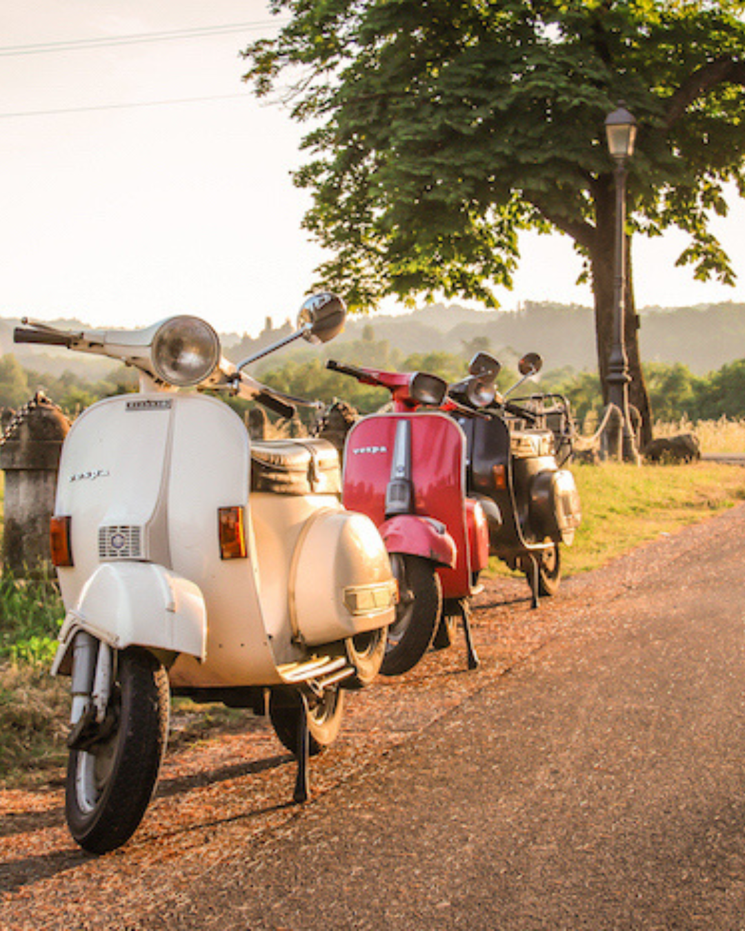 Firmatur Piemonte med Vespa tur gjennom vinlandskap organisert av Envy Travel