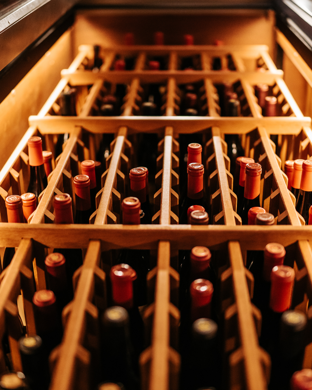 Firmatur Piemonte vinsmaking i vinkjeller med Barolo og Barbaresco arrangert av Envy Travel